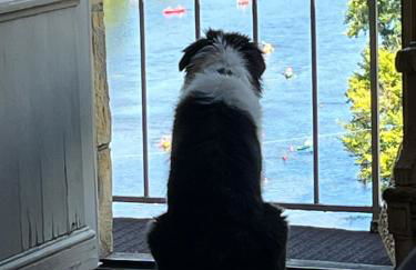 Vue magique à Castelnaud - Foto 32