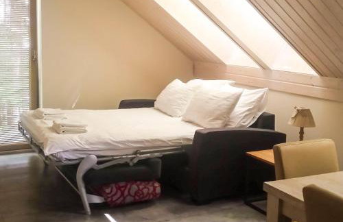 Mazursko - komfortowe apartamenty nad jeziorem, sauna, kominki na parterze - Foto 34