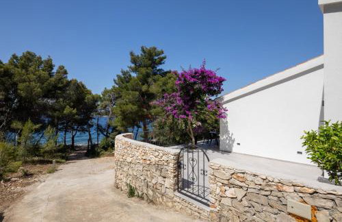 Villa Mala Smišna Poolside Paradise by the Sea - Photo 12