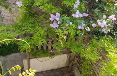 La Glycine Hypercentre et tout confort - Photo 17