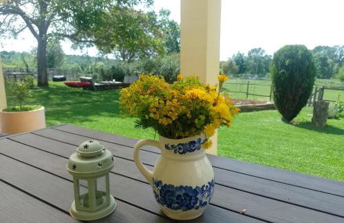 Golden Valley apartment & ranch - Foto 12