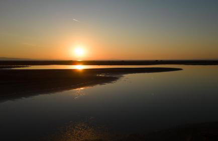 Flamingo View Suites & Villas - Photo 12