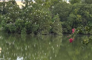 Kingwood Cottage - 10 mins from IAH - Lake Front - Foto 31