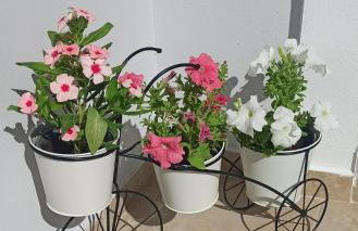 S&V Luxury Apartment - Photo 28