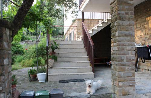 BELLA VISTA BOLOGNESE - Foto 1