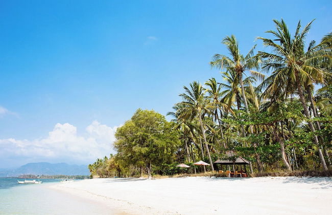 The Anandita - Foto 31