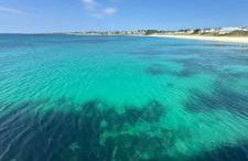 Magnifique longère avec piscine chauffée à 3 mn d'Audierne et 8 mn de pont croix , parking privé - Photo 7