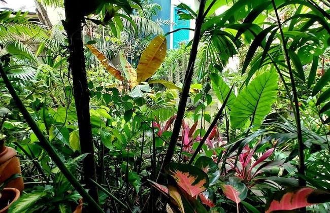 Residencial Casa Flor Atelier Botânico, Ponta Negra - Foto 22