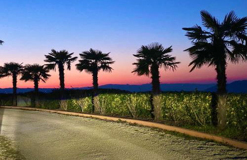 Agriturismo Villa Paradiso Esotico - Photo 13