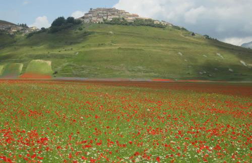 Casale Coccinella - Foto 16