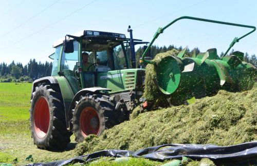 Veiter-Hof - Foto 19