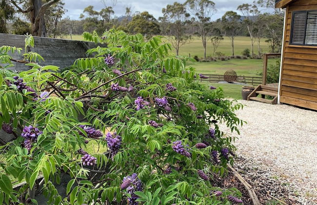 Hazelcreek Cottages - Photo 18