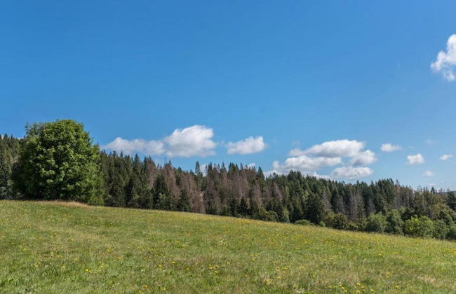 Ferienwohnung im Schwarzwald mit Garten - Foto 29