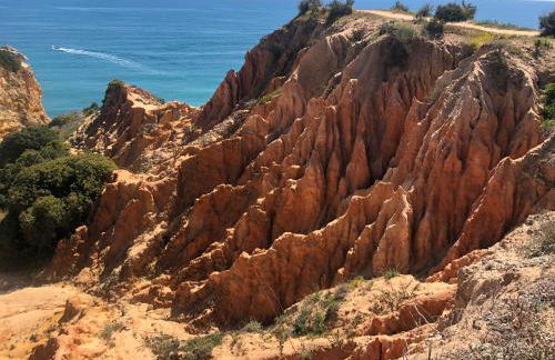 Anabela Apartment - Photo 9