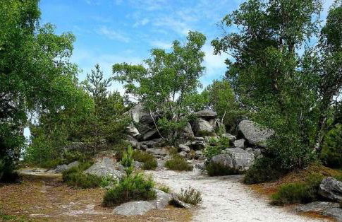 La Halle Du Roi Parking Insead - Foto 25