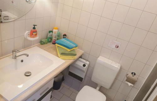 Ferienwohnung Oberlungwitz - Foto 8