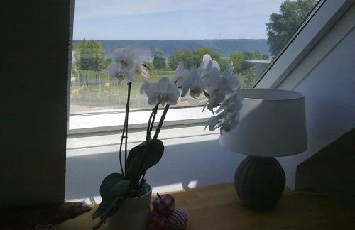 Ferienhaus Ostseeblick - Foto 39