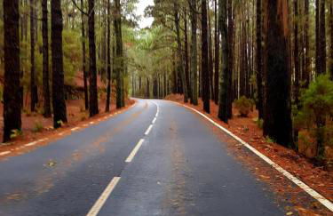 Casa antigua - Foto 44