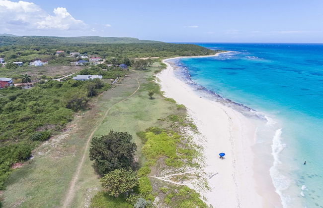 Beach Palm Villa - Photo 1