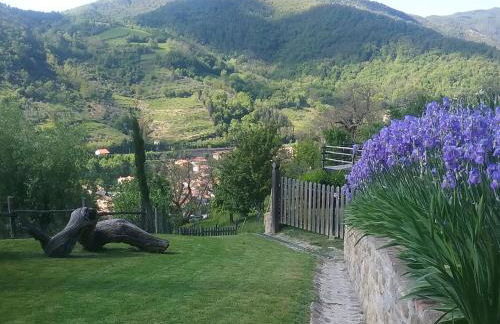 Casa Vacanze Podere Ugolini - Foto 79