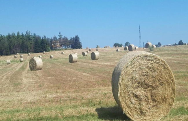 Beautiful Apartment Near Riviera - Foto 36