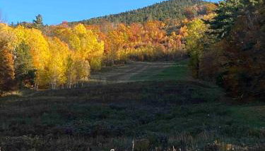 Red Barn Cabin Near Okemo - Foto 4