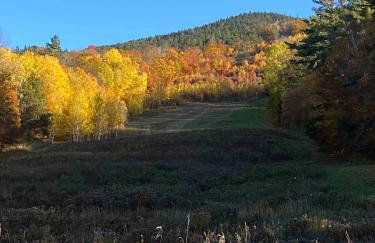 Red Barn Cabin Near Okemo - Foto 4