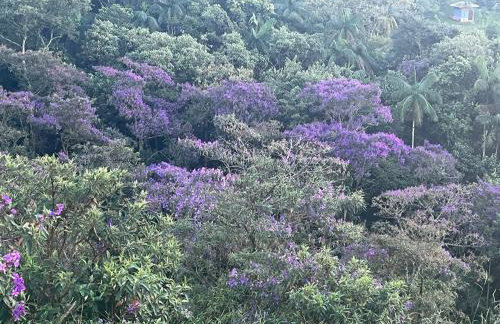 Chalé Bem-te-vi Vista espetacular da Serra da Mantiqueira - Foto 61