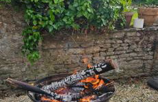 La petite chouette - Photo 8