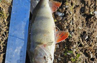 Le fournil à Mïette - Foto 45