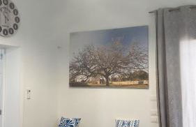 La Casa Turchina a 3 km da Otranto - Foto 26