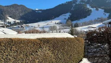 Charmant studio + jardin vue pistes et local velo - Foto 3