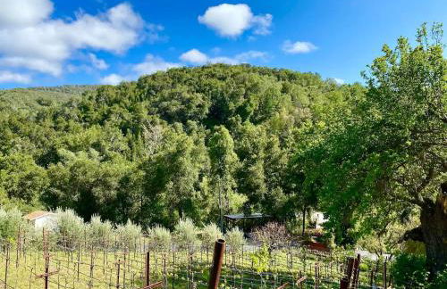 Serene Vineyard Chateau with Pool, Hot Tub, BBQ - Foto 48