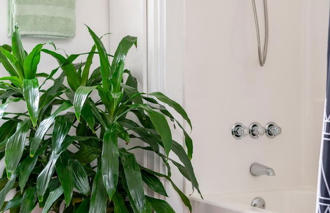 NEW Luxe Pet Friendly Free Parking Downtown - Foto 80