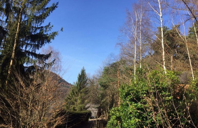 Modern Apartment Near Centre - Foto 14