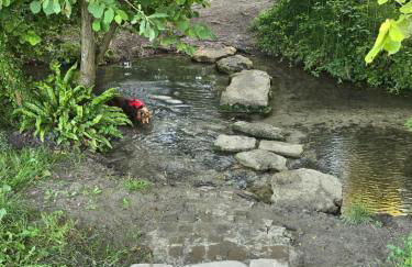 Willow Cottage in idyllic location - Foto 12