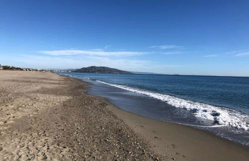 Medina 119 - Foto 50