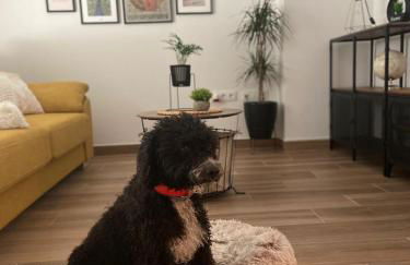 Las Casas de Lola - Foto 53