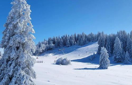 Chalet cosy entre lacs et montagnes - Foto 3