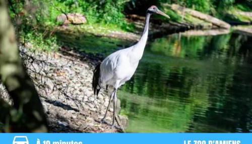 GRAND T2 GARE AMIENS TOUT CONFORT 2PERS WIFI - Foto 3