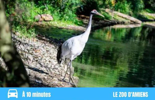 GRAND STUDIO AMIENS GARE TOUT CONFORT WIFI NETFLIX 2PERS - Foto 6