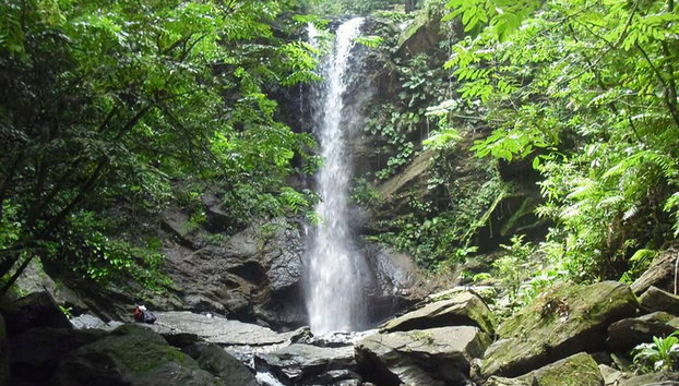 Excursión a las cascadas Avocat y la playa Maracas - Foto 2, La caída de agua de las Cascadas Avocat