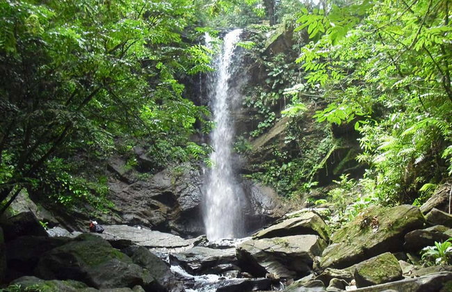 Excursión a las cascadas Avocat y la playa Maracas - Foto 2