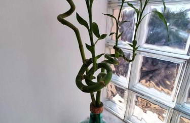 Harmony Boutique Apartments, 100m from metro - Foto 34