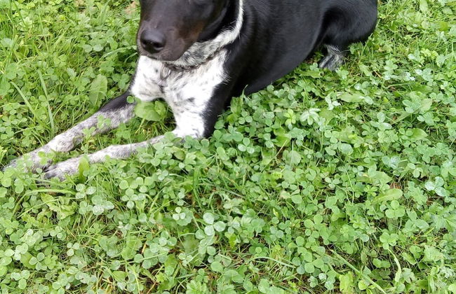 Steigmatt Bauernhof - Erlebnis - Foto 62