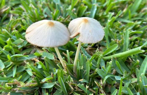 Villa Javea House El Cipres - Foto 18