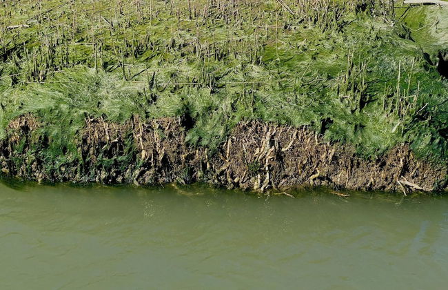 Agriturismo Tenuta Castel Venezze - Foto 52