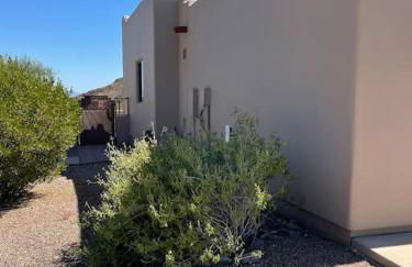 Tucson Mnt Foothills Saguaro Bliss - Foto 40