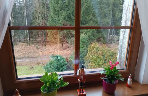 Strażnica Pod Lasem - Foto 52