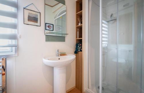 Little Curlew, Ynyslas, Borth - Foto 20